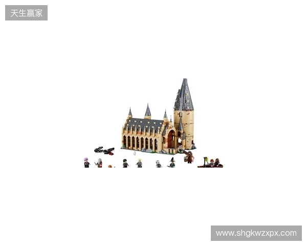 安东内拉：爱拼霍格沃茨城堡，家里有类似博物馆空间放乐高